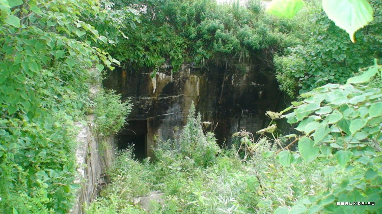 Береговая батарея № 982. Остров русский