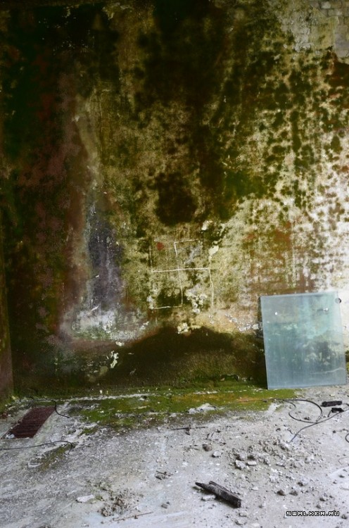 Железногорский завод Кристалл Железногорский завод Кристалл