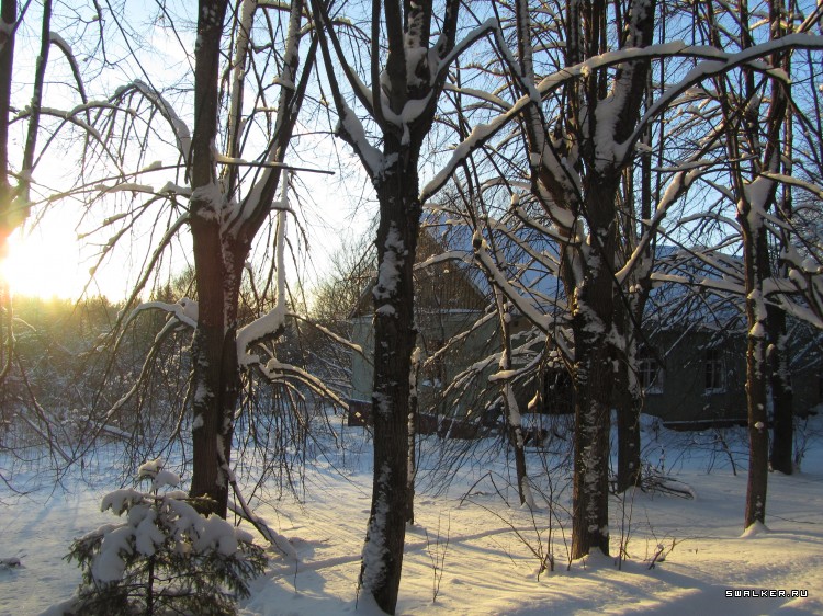 Заброшенный лагерь, Московская область