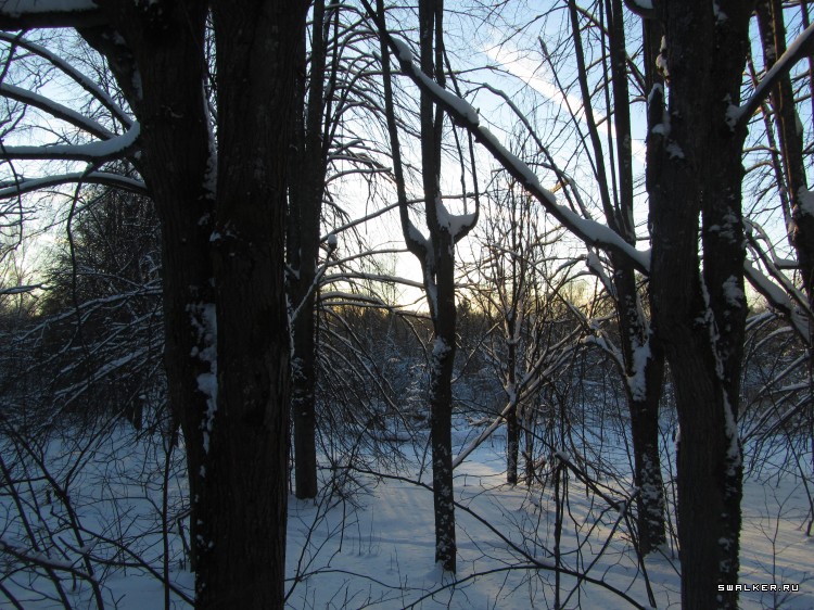 Заброшенный лагерь, Московская область