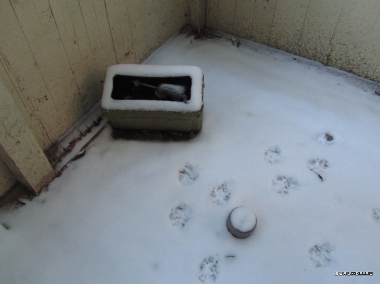 Заброшенный лагерь, Московская область