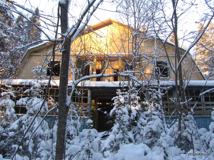 Заброшенный лагерь, Московская область