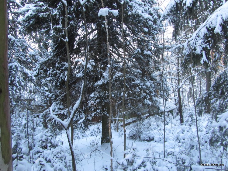 Заброшенный лагерь, Московская область