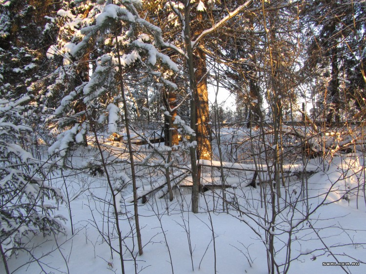 Заброшенный лагерь, Московская область