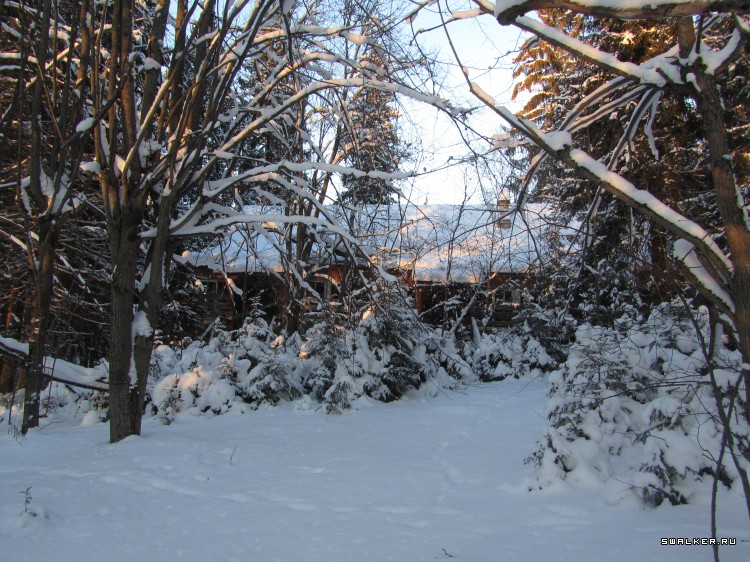 Заброшенный лагерь, Московская область