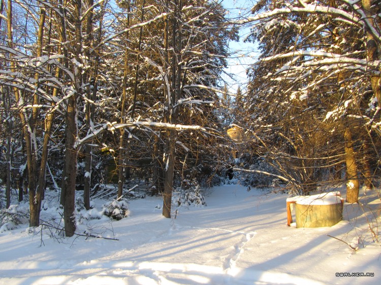 Заброшенный лагерь, Московская область