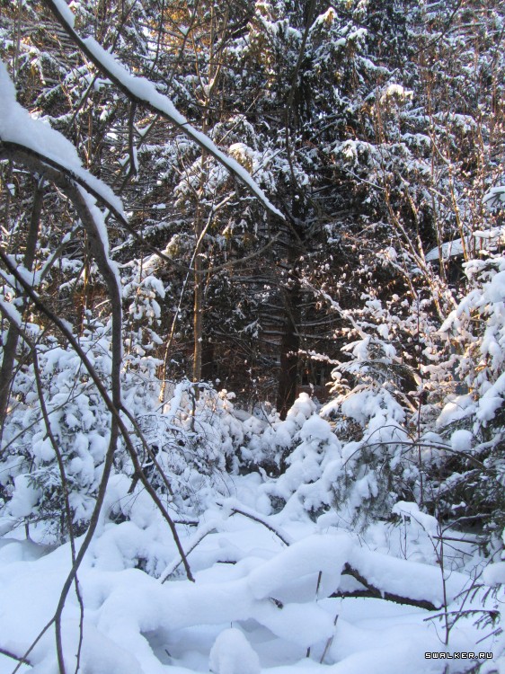 Заброшенный лагерь, Московская область