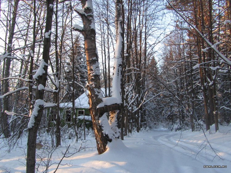 Заброшенный лагерь, Московская область
