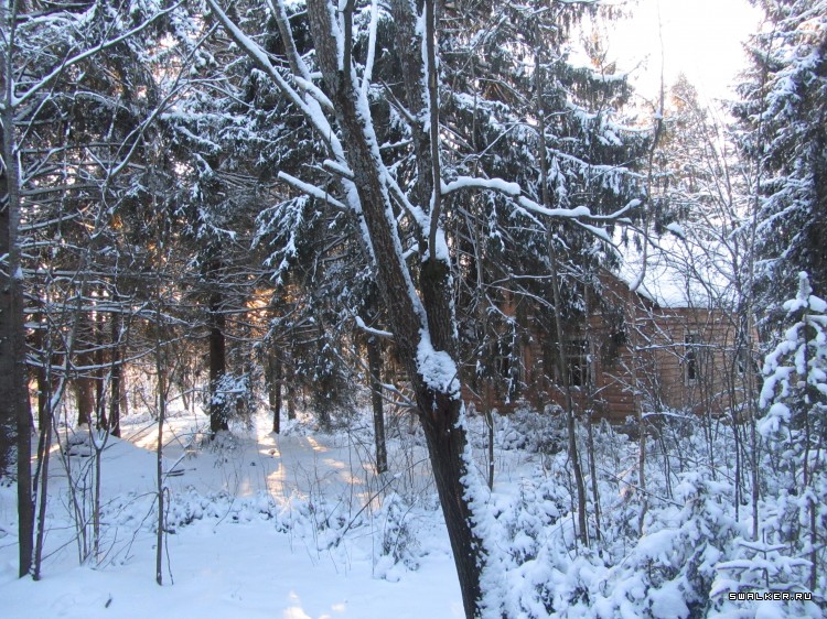 Заброшенный лагерь, Московская область