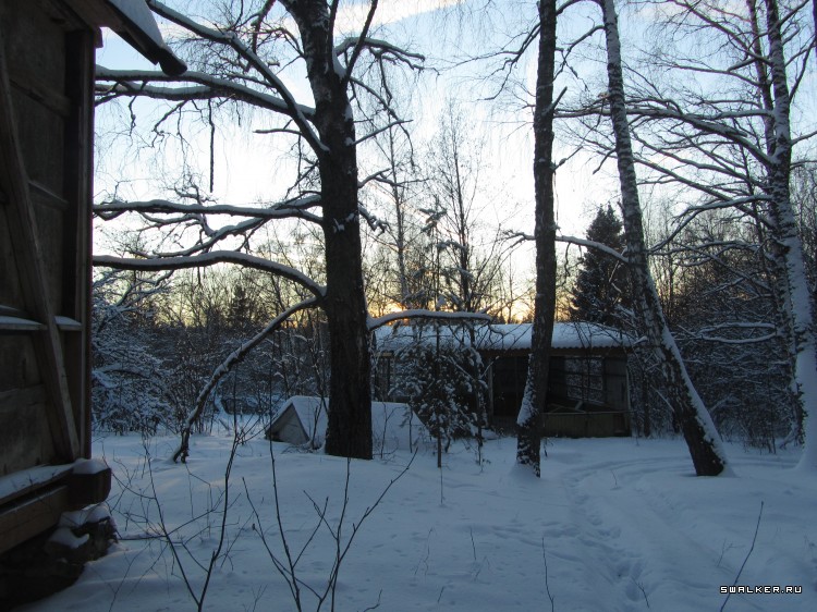 Заброшенный лагерь, Московская область