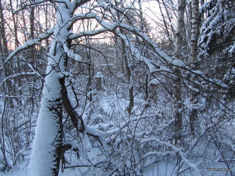 Заброшенный лагерь, Московская область