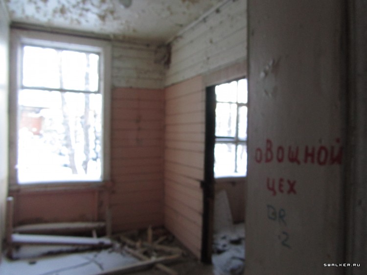 Заброшенный лагерь, Московская область