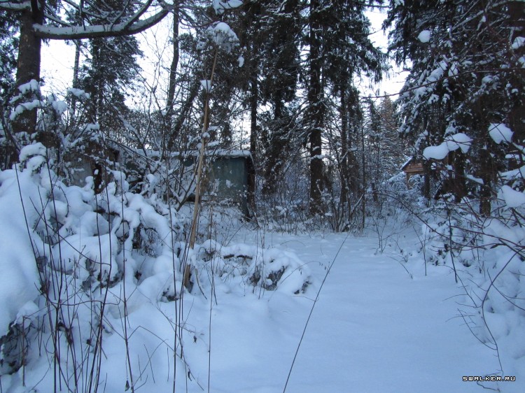 Заброшенный лагерь, Московская область