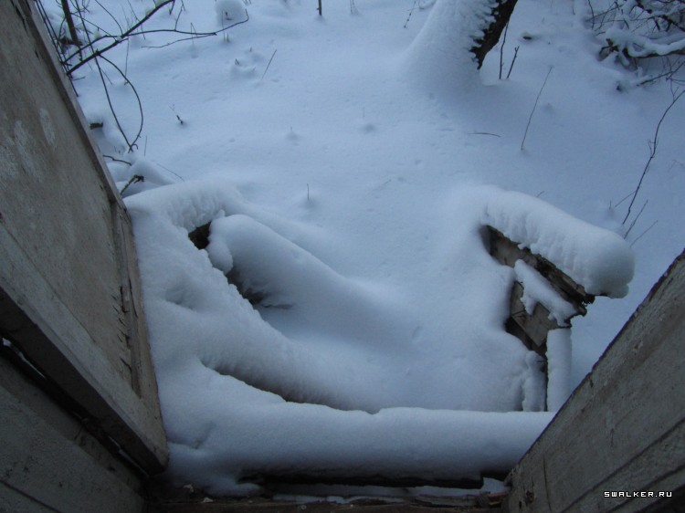 Заброшенный лагерь, Московская область