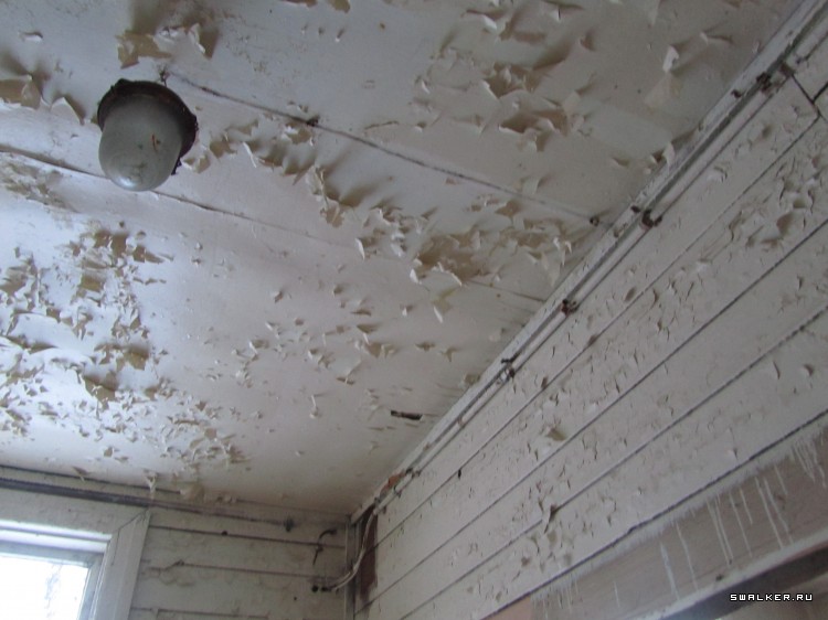 Заброшенный лагерь, Московская область