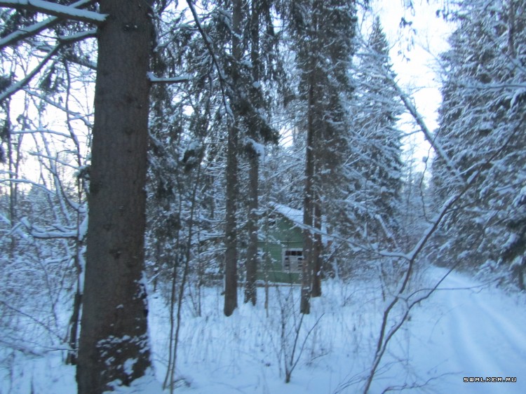 Заброшенный лагерь, Московская область