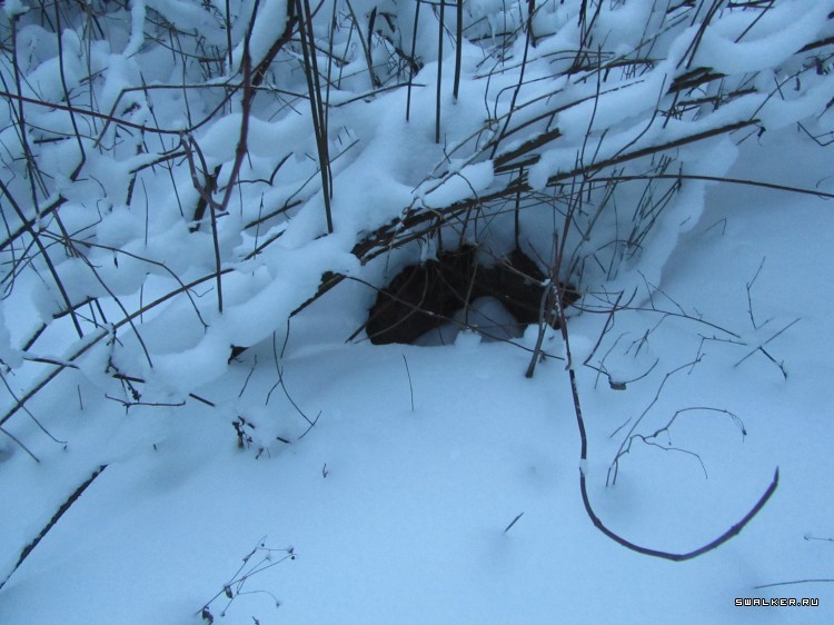 Заброшенный лагерь, Московская область