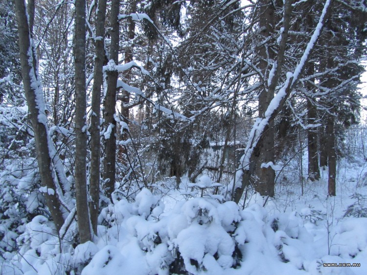 Заброшенный лагерь, Московская область