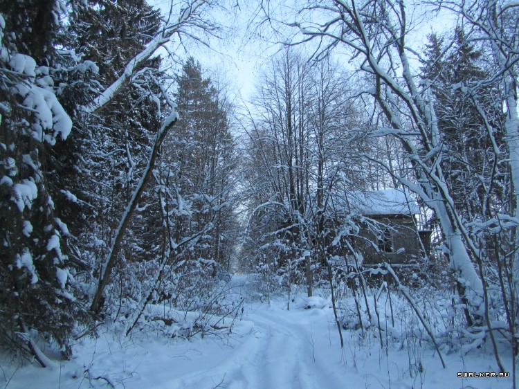 Заброшенный лагерь, Московская область