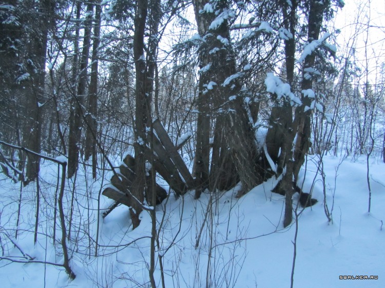 Заброшенный лагерь, Московская область