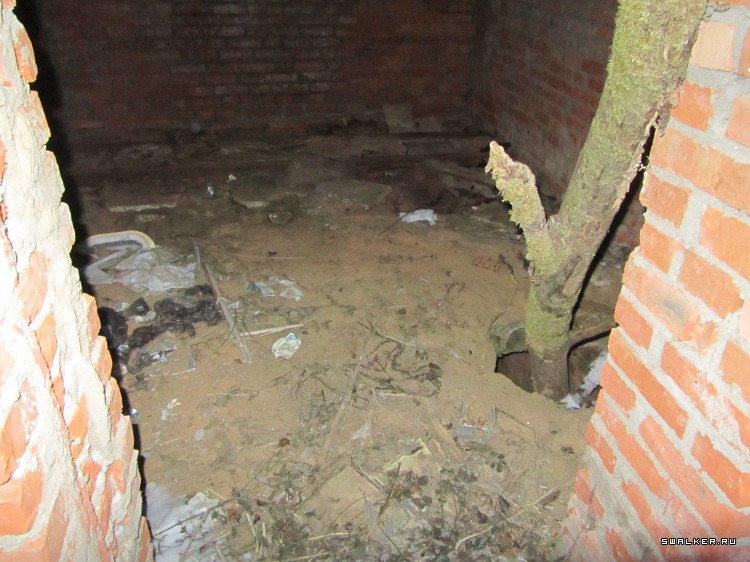 Заброшенный лагерь, Московская область