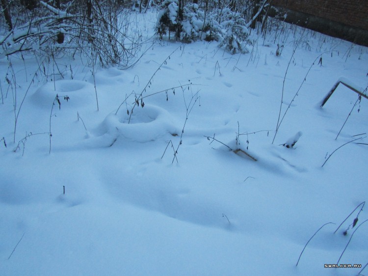 Заброшенный лагерь, Московская область