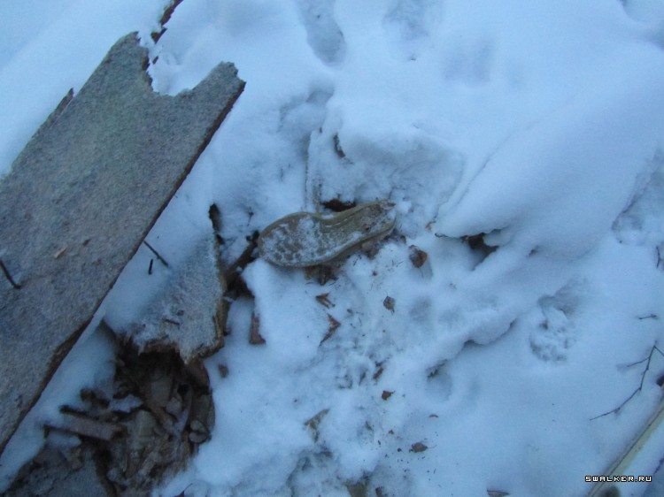 Заброшенный лагерь, Московская область