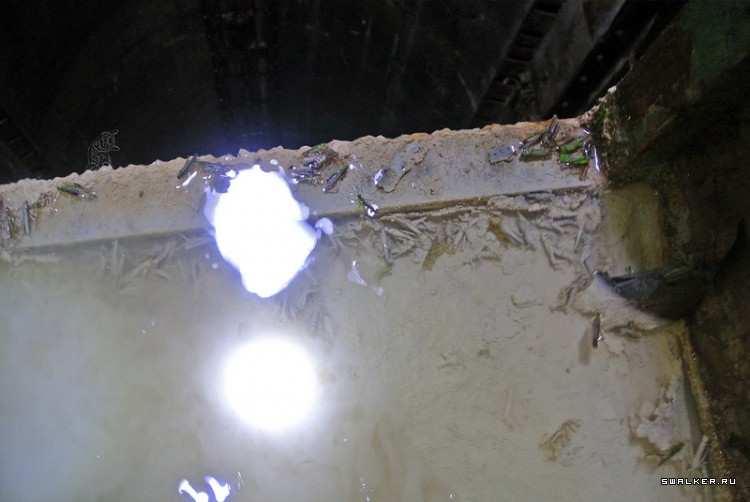 571 ракетный полк