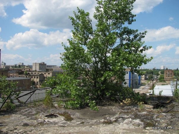 Ртутный завод  Радикал