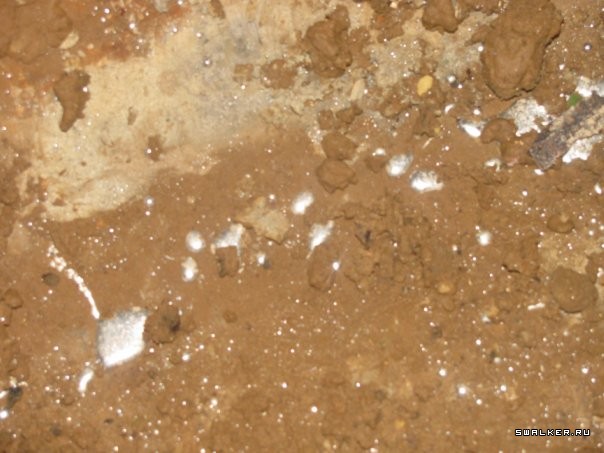 Ртутный завод  Радикал