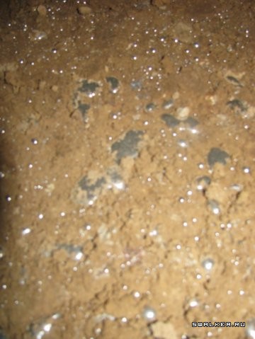 Ртутный завод  Радикал