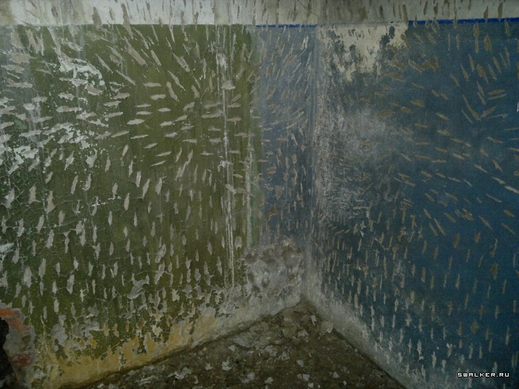 Заброшенная военная часть спецназа ГРУ