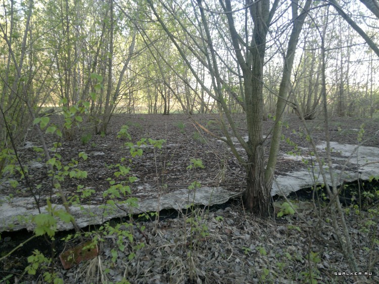 Заброшенная военная часть спецназа ГРУ