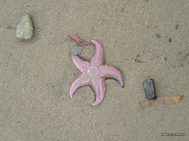 Посёлок Корф, Камчатский край Посёлок Корф, Камчатский край