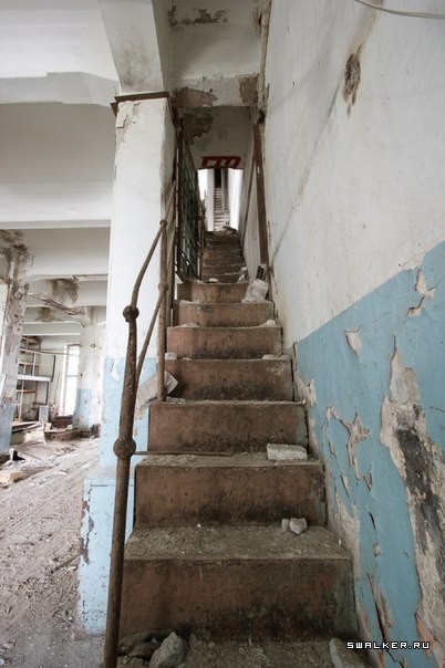 Новосибирский жировой комбинат