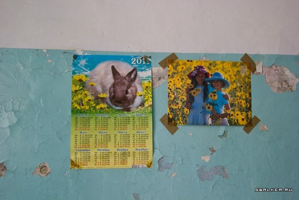 Новосибирский жировой комбинат