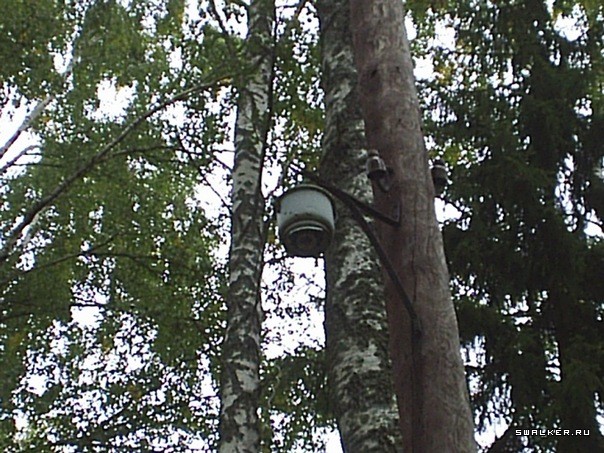 Дом отдыха Тихий Уголок, Костромская область