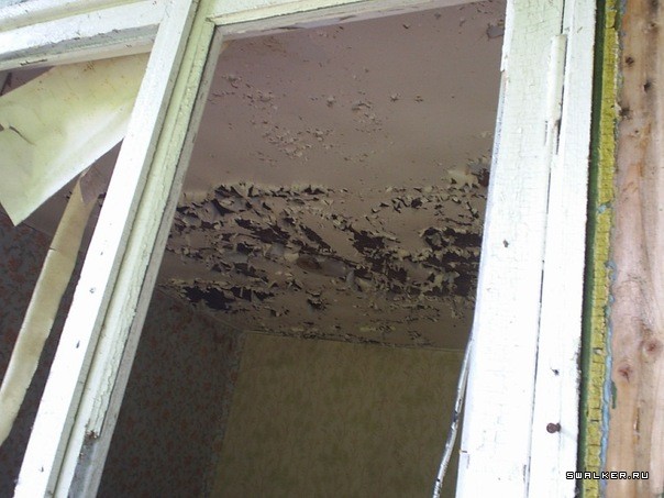 Дом отдыха Тихий Уголок, Костромская область