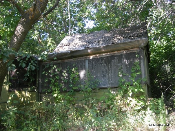 Остров Голодный Остров Голодный