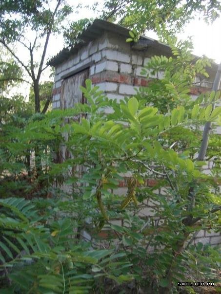 Остров Голодный Остров Голодный