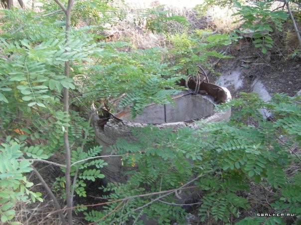 Остров Голодный Остров Голодный