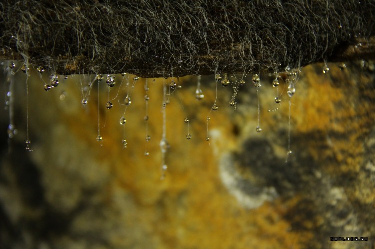 Каменоломня Фабричная, Московская область