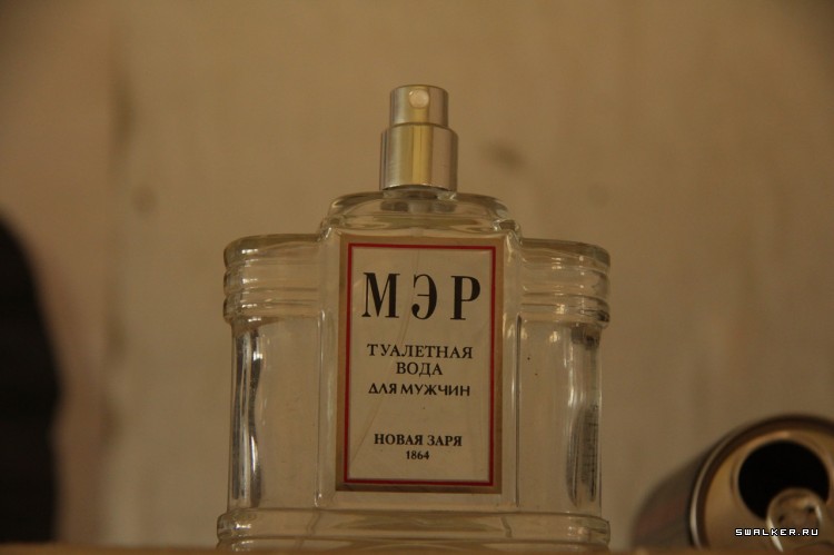 Пионерлагерь Орлёнок, Московская область