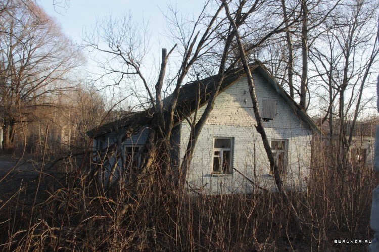 Пионерлагерь Орлёнок, Московская область