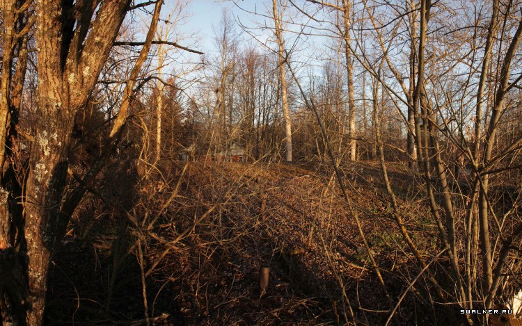 Пионерлагерь Орлёнок, Московская область