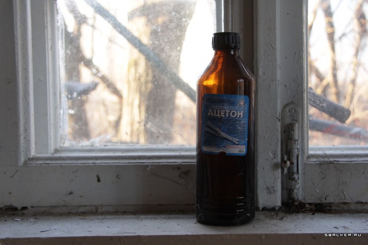 Пионерлагерь Орлёнок, Московская область