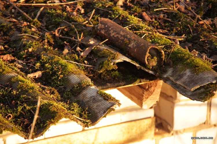 Пионерлагерь Орлёнок, Московская область