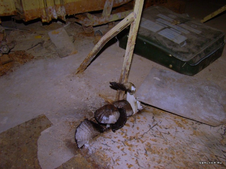 Бомбоубежище спортзал