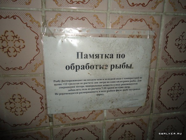 Пионерский лагерь имени Карбышева Пионерский лагерь имени Карбышева