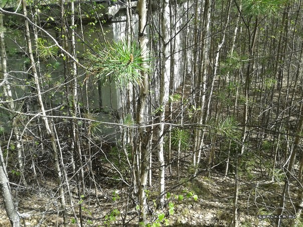 ВЧ 96401 Вилга ВЧ 96401 Вилга